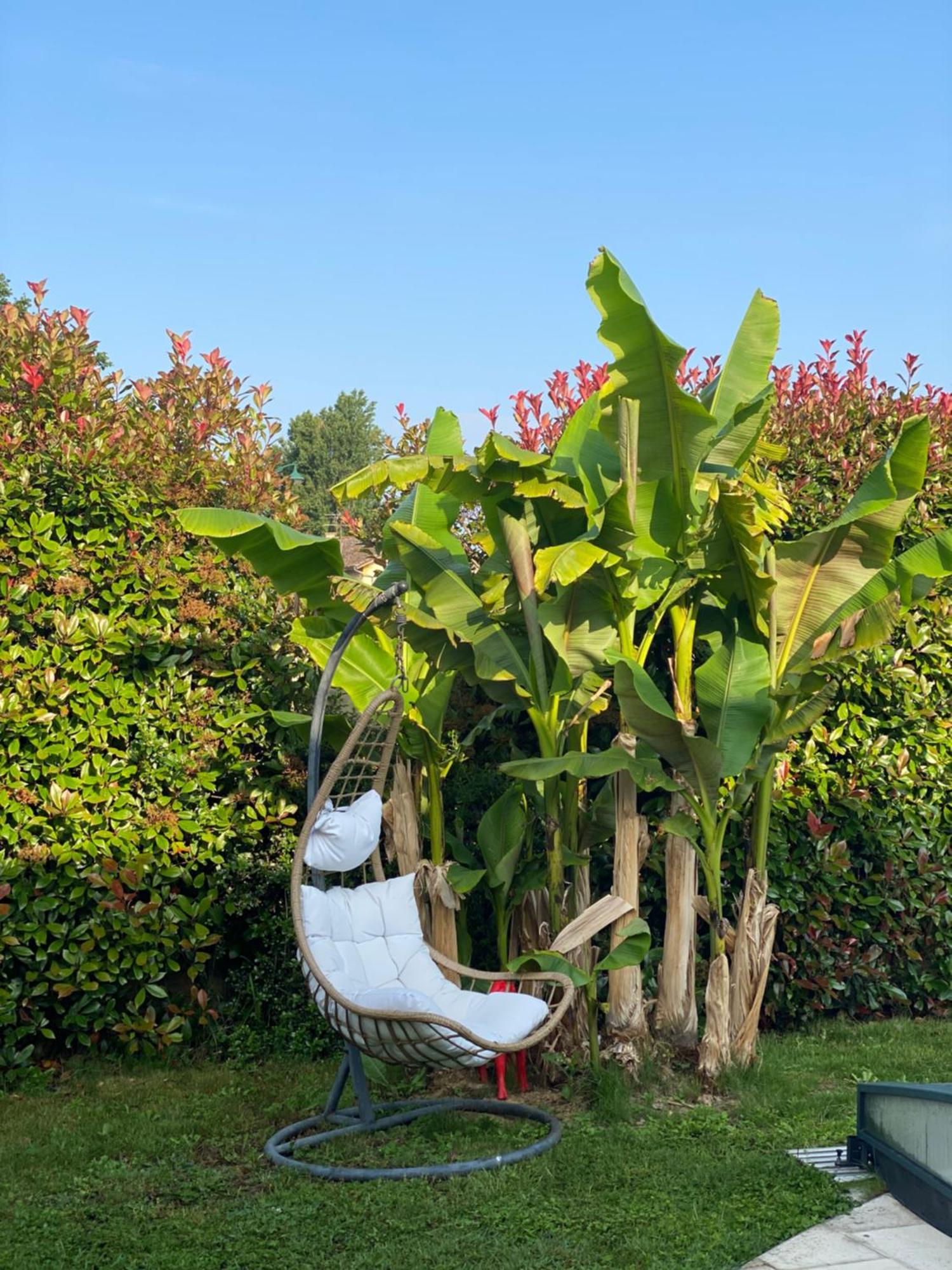 Bed and Breakfast lamaison-d'ose à Châtillon-sur-Chalaronne Extérieur photo